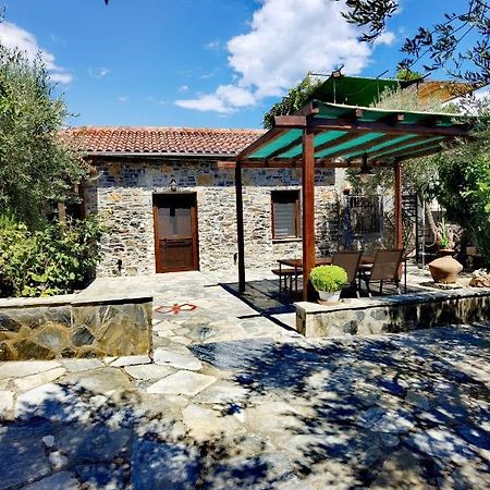 Villa Elaion Thea-Nies à Sourpi Extérieur photo