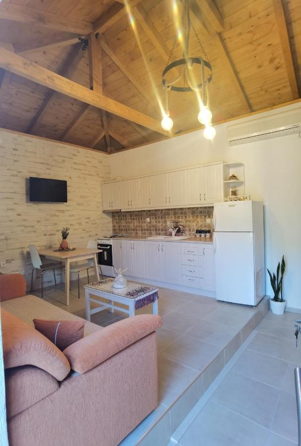 Villa Elaion Thea-Nies à Sourpi Extérieur photo