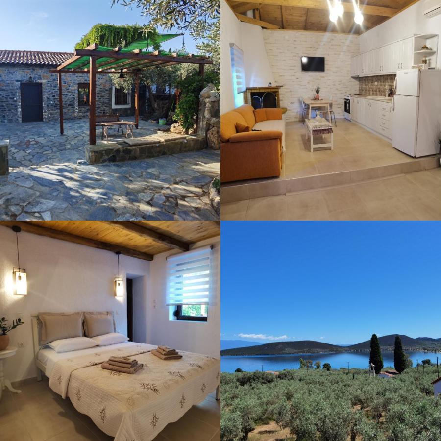 Villa Elaion Thea-Nies à Sourpi Extérieur photo