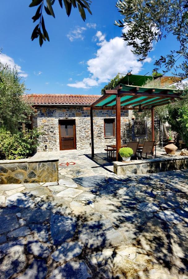 Villa Elaion Thea-Nies à Sourpi Extérieur photo